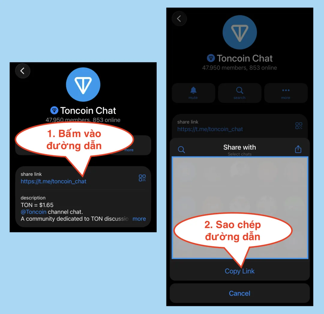 Bước 2: Sao chép link kênh Telegram