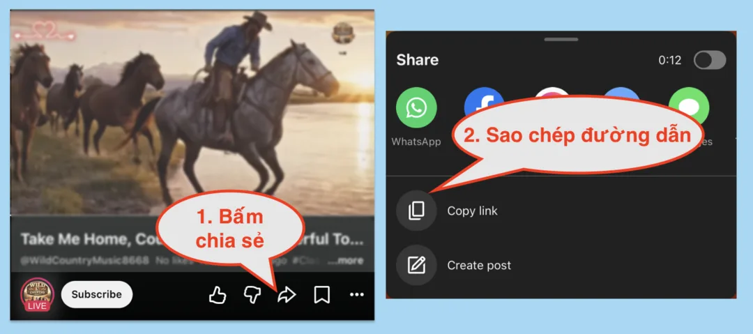Bước 2: Sao chép link video